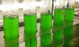 Herbicidas en agua dulce: Verde glifosato